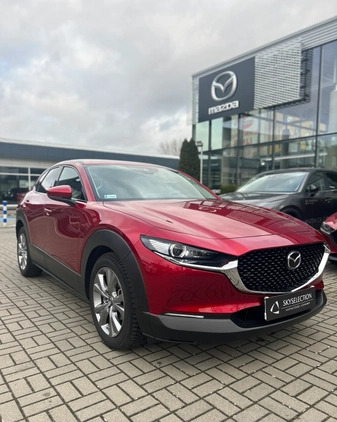 Mazda CX-30 cena 105000 przebieg: 46725, rok produkcji 2019 z Szczecin małe 121